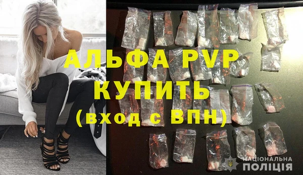 крисы Верхний Тагил