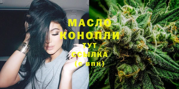 тгк Сатка