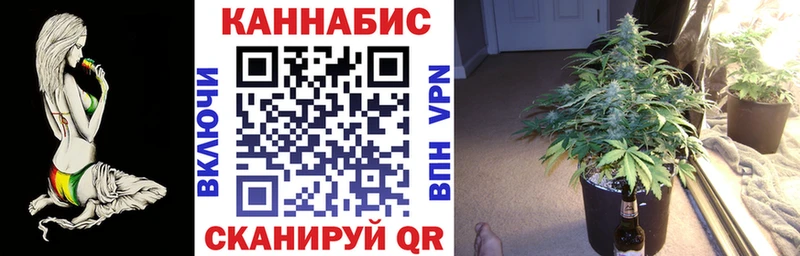 Шишки марихуана THC 21%  где можно купить наркотик  Карачев 